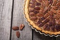 Autumn american pecan pie Royalty Free Stock Photo