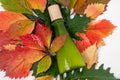 Autumn anti-aging care cosmetics bottle crimson leaves natural organic spa care