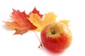 Autumn apple Royalty Free Stock Photo