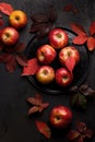 Autumn Apple harvest. Red apples Royalty Free Stock Photo