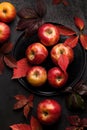 Autumn Apple harvest. Red apples Royalty Free Stock Photo