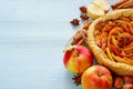 Autumn apple pie on the wooden board decorated with fresh apples, hazelnuts, spices - anise, cinnamon on the gray kitchen table Royalty Free Stock Photo