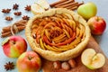 Autumn apple pie on the wooden board decorated with fresh apples, hazelnuts and spices - anise stars and cinnamon on gray table Royalty Free Stock Photo