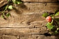 Autumn apple on a rustic wood background Royalty Free Stock Photo