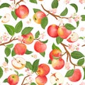 Autumn apple seamless pattern. Summer fruits, leaves, flowers vector background. Watercolor texture Royalty Free Stock Photo