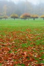 Autumn Apple Trees