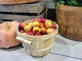 Autumn Apples in Bushel Basket