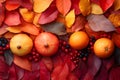 Autumn apples on colorful leaves and tree,, Royalty Free Stock Photo
