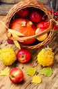 Autumn apples and pumpkin Royalty Free Stock Photo