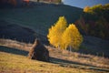 Autumn in apuseni mountains,romania