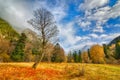 Autumn in Arkhyz Royalty Free Stock Photo