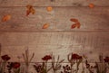 Autumn arrangement of colorful leaves, acorn, chestnut fruit on a wooden background with free space for text. Top view Royalty Free Stock Photo