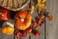 Pumpkins, crab apples, colorful maple leaves, rowanberry and wicker basket.