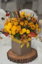 Autumn Arrangement of Flowers, Vegetables and Fruits Isolated on White Background. Closeup. Royalty Free Stock Photo