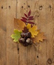 Autumn arrangement. Leaves and chestnuts on a wooden background.