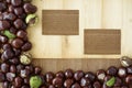 Chestnuts frame on wood background.