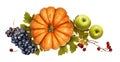 Autumn arrangement with pumpkin, grapes, apples, red berries and green leaves Royalty Free Stock Photo