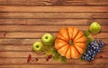 Autumn arrangement with pumpkin, grapes, apples, red berries and green leaves Royalty Free Stock Photo