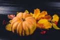 Autumn art composition - varied dried leaves, pumpkins, fruits, rowan berries on black background. Autumn, fall