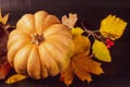 Autumn art composition - varied dried leaves, pumpkins, fruits, rowan berries on black background. Autumn, fall