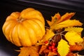 Autumn art composition - varied dried leaves, pumpkins, fruits, rowan berries on black background. Autumn, fall