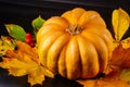 Autumn art composition - varied dried leaves, pumpkins, fruits, rowan berries on black background. Autumn, fall