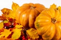 Autumn art composition - varied dried leaves, pumpkins, fruits, rowan berries on white background. Autumn, fall