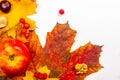 Autumn art composition - varied dried leaves, pumpkins, fruits, rowan berries on white background. Autumn, fall