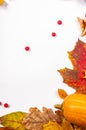 Autumn art composition - varied dried leaves, pumpkins, fruits, rowan berries on white background. Autumn, fall