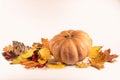 Autumn art composition - varied dried leaves, pumpkins, fruits, rowan berries on white background. Autumn, fall