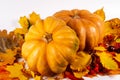 Autumn art composition - varied dried leaves, pumpkins, fruits, rowan berries on white background. Autumn, fall