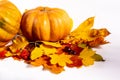 Autumn art composition - varied dried leaves, pumpkins, fruits, rowan berries on white background. Autumn, fall