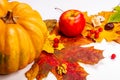Autumn art composition - varied dried leaves, pumpkins, fruits, rowan berries on white background. Autumn, fall Royalty Free Stock Photo