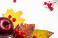 Autumn art composition - varied dried leaves, pumpkins, fruits, rowan berries on white background. Autumn, fall Royalty Free Stock Photo