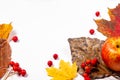 Autumn art composition - varied dried leaves, pumpkins, fruits, rowan berries on white background. Autumn, fall Royalty Free Stock Photo