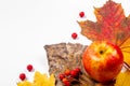 Autumn art composition - varied dried leaves, pumpkins, fruits, rowan berries on white background. Autumn, fall Royalty Free Stock Photo