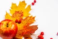 Autumn art composition - varied dried leaves, pumpkins, fruits, rowan berries on white background. Autumn, fall Royalty Free Stock Photo