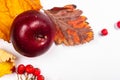 Autumn art composition - varied dried leaves, pumpkins, fruits, rowan berries on white background. Autumn, fall Royalty Free Stock Photo