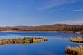 Autumn at Arxan, China Royalty Free Stock Photo