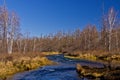 Autumn at Arxan, China Royalty Free Stock Photo