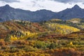 Autumn aspens