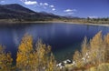 Autumn aspens at June Lake Royalty Free Stock Photo