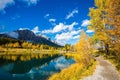 Autumn aspens reflected in the water Royalty Free Stock Photo
