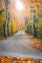 Autumn, asphalt road along colorful trees Royalty Free Stock Photo