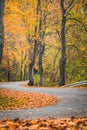 Autumn, asphalt road along colorful trees Royalty Free Stock Photo