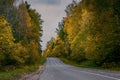 Autumn asphalt road