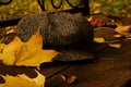 Autumn atmosphere: leaves, bench and cap Royalty Free Stock Photo