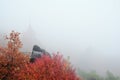 Autumn atmosphere with fog