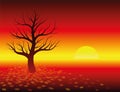 Autumn Atmosphere Sunset Leafless Tree