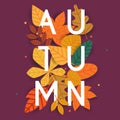 Autumn. Autumn leafs on the background. Flat design modern vector illustration concept. Royalty Free Stock Photo